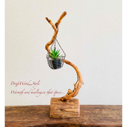 流木インテリア うねる枝が個性的な小型の流木スタンド ランタンやエアプラントを飾れる置物 北欧 照明 木材 癒し N2 4枚目の画像