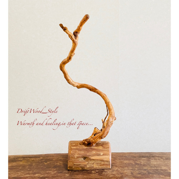 流木インテリア うねる枝が個性的な小型の流木スタンド ランタンやエアプラントを飾れる置物 北欧 照明 木材 癒し N2 8枚目の画像