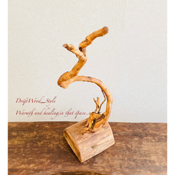 流木インテリア うねる枝が個性的な小型の流木スタンド ランタンやエアプラントを飾れる置物 北欧 照明 木材 癒し N2 9枚目の画像