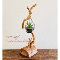 流木インテリア うねる枝が個性的な小型の流木スタンド ランタンやエアプラントを飾れる置物 北欧 照明 木材 癒し N2 6枚目の画像