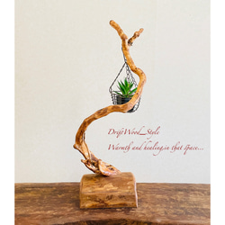 流木インテリア うねる枝が個性的な小型の流木スタンド ランタンやエアプラントを飾れる置物 北欧 照明 木材 癒し N2 7枚目の画像