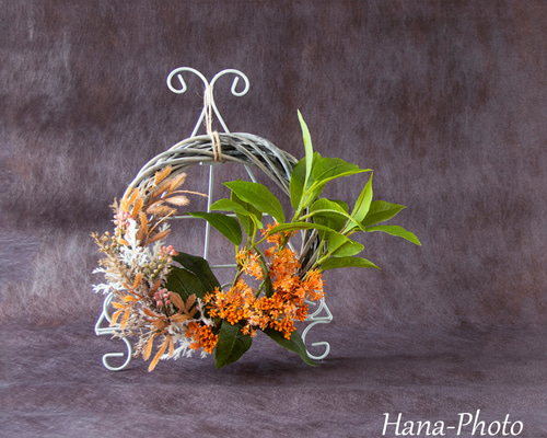 d6f342f5fff61555a00bc303d7a0fb