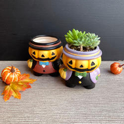 多肉植物 寄せ植え そのまま飾れる٩(ˊᗜˋ*)و♪﻿靴型陶器鉢ブルーL