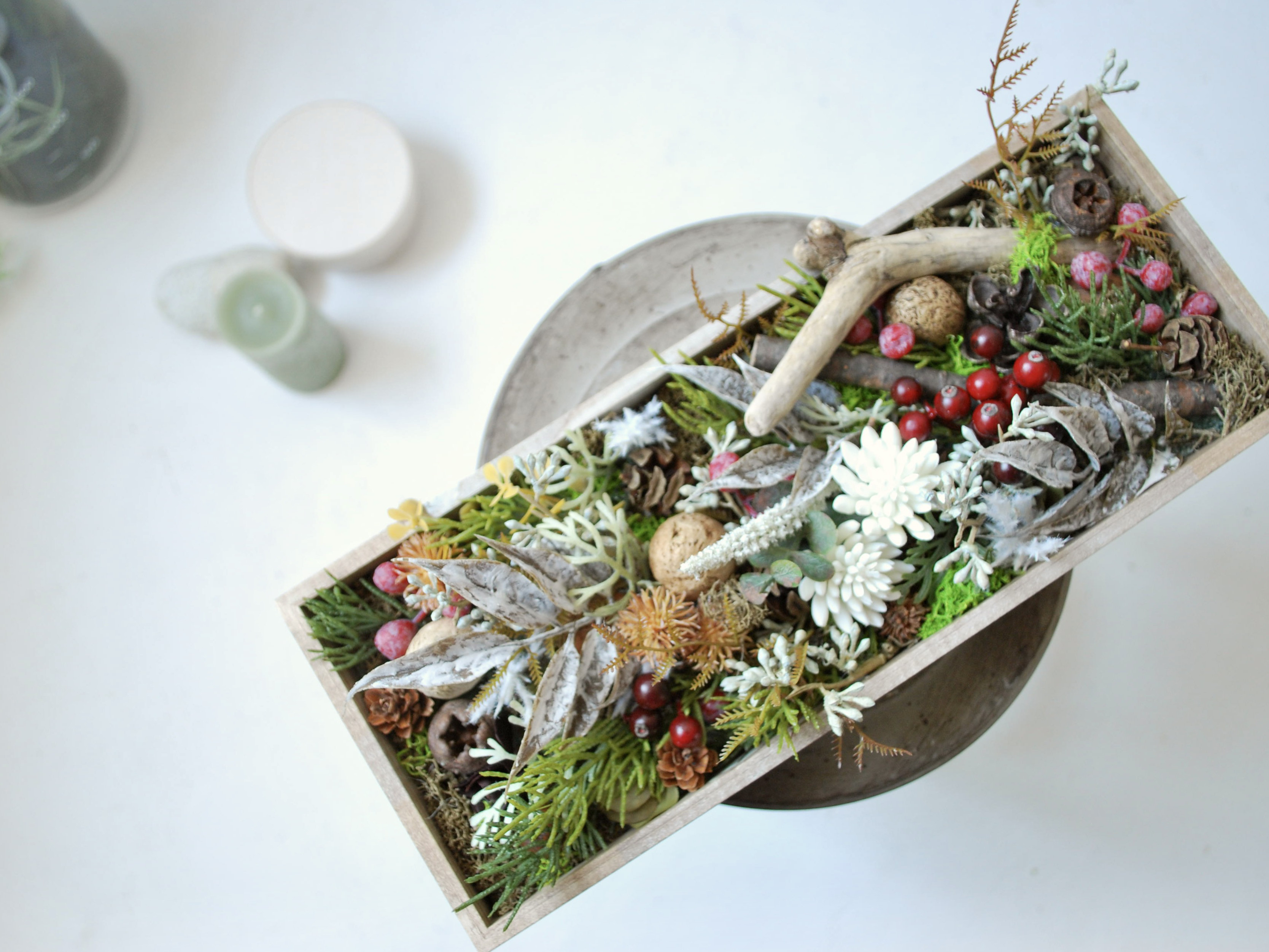 ［特集掲載］Box: walk in the forest 森の地面