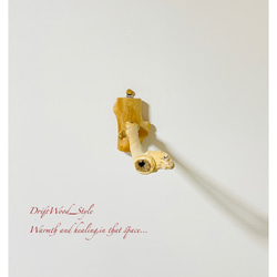 流木インテリア 流木枝を使った小鳥の止まり木 インコの壁掛けパーチ ピン止めタイプ ビス止め変更可 N37 7枚目の画像