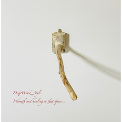 流木インテリア 流木枝を使った小鳥の止まり木 インコの壁掛けパーチ ピン止めタイプ ビス止め変更可 N38 6枚目の画像