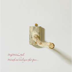 流木インテリア 流木枝を使った小鳥の止まり木 インコの壁掛けパーチ ピン止めタイプ ビス止め変更可 N38 7枚目の画像