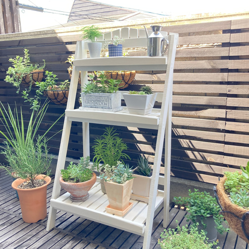 真っ白なラダーラック・自立型＞ 棚・シェルフ・ラック T-style621