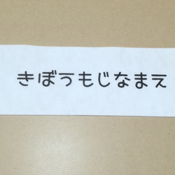 オーダー/おなまえ刺繍ワッペンかなカナ用1行29.5cm×10cm/フリーカットフチなし/ネーム 文字 名札 布団用 1枚目の画像