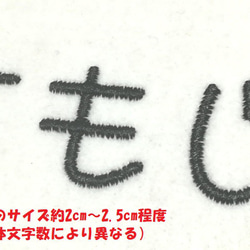 オーダー/おなまえ刺繍ワッペンかなカナ用1行29.5cm×10cm/フリーカットフチなし/ネーム 文字 名札 布団用 2枚目の画像