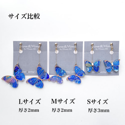 [One of a kind] Morpho 蝴蝶 S 號耳環 &amp; 耳環 第9張的照片