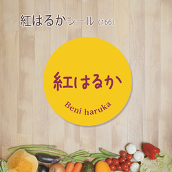 ご希望の文字印字可　紅はるかシール（166）30ミリ 240枚 1枚目の画像