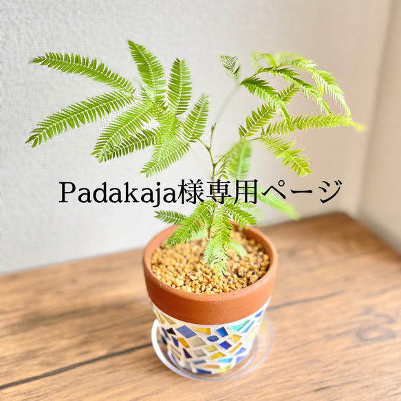 a様専用 yeezy boost 350 v2 Kuki様専用 YEEZY BOOST 350 V2 3M 27.5 kuki様専用