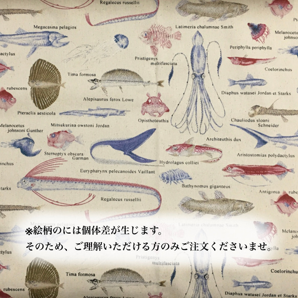 深海魚のやや大きめキャラメルペンケース(生成り) 深海魚柄 生成り 魚 ペンポーチ 深海魚 ペンケース グッズ 6枚目の画像