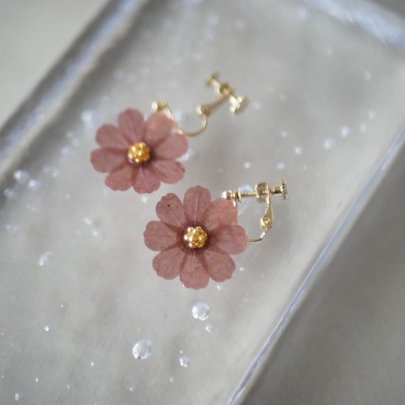 和紙の花 「秋桜」ブラウン 　イヤリング／ピアス 　　チョコレートコスモス 3枚目の画像