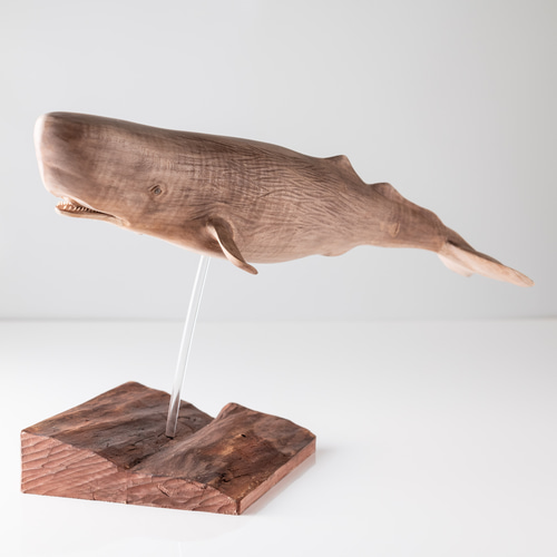 マッコウクジラ 立体・オブジェ カエルの一生 通販 16476280｜Creema