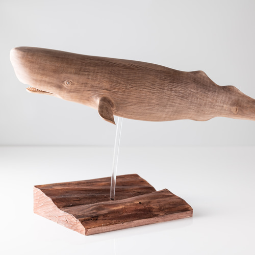 マッコウクジラ 立体・オブジェ カエルの一生 通販 16476280｜Creema