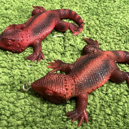 フトアゴヒゲトカゲ キーホルダー キーホルダー reptiles kotori 通販