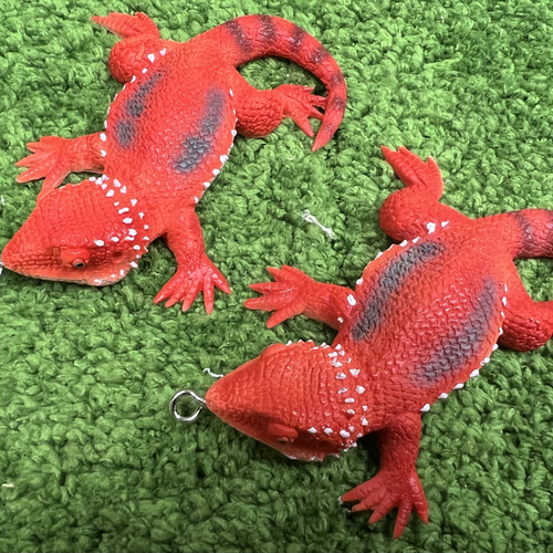 フトアゴヒゲトカゲ キーホルダー キーホルダー reptiles kotori 通販