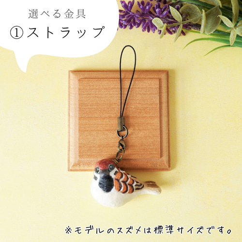 スズメ、色紙です、 スズメ、色紙です、 スズメ、色紙です、 洋書
