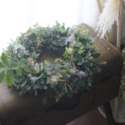 ユーカリグリーンリース ドライフラワー petit chocolat 通販 16476980