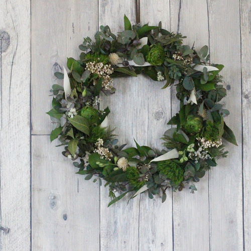 ユーカリグリーンリース ドライフラワー petit chocolat 通販 16476980