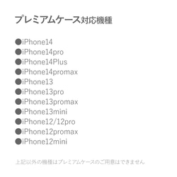 天然貝 螺鈿アート 【iPhone12/13/14/15対応】★フェアリークラウン（iPhoneプレミアムケース） 5枚目の画像