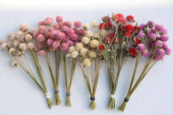 千日紅赤ピンク白6色 120本☆ドライ茎付き その他素材 lemon-time