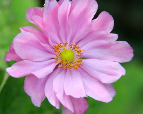 edf355e85807ed4ef3f0c40de3de1f