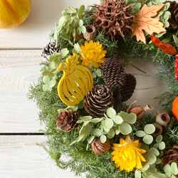 木の実のハロウィンリース 7枚目の画像