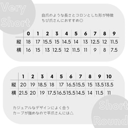 サイズ計測用チップセット－1種類目（送料込） 2枚目の画像