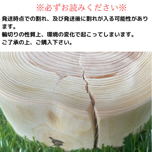 皮無しヒノキの輪切り 直径5cm前後 厚み0.7cm 木材・板 切り株べ