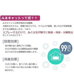 ホワイト✖️ラベンダーのナチュラルリース★光触媒加工可能★壁掛けドアリース　玄関飾り 10枚目の画像