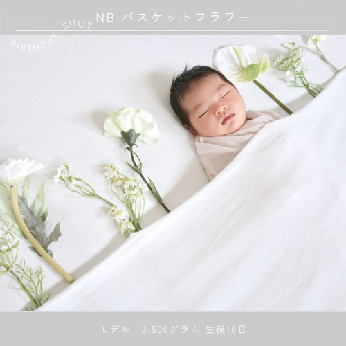 背景布【屋内V】ニューボーンフォト、ペット、ドール撮影用　空　薔薇　気球　雲　窓 Amazon | Orraphtstu ニューボーンフォト レースの背景布 新生児