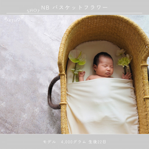 ニューボーンフォト練習用人形　収納ケース付き ニューボーンフォト練習用人形 収納ケース付き