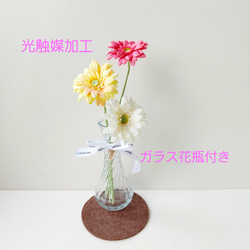 【光触媒】ガーベラの花瓶挿し 1枚目の画像