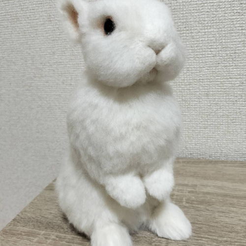 うさぎ 🐰 2024.10.15🌧 メガネギ👓 1枚目がお気に入り。 #ネザーランド
