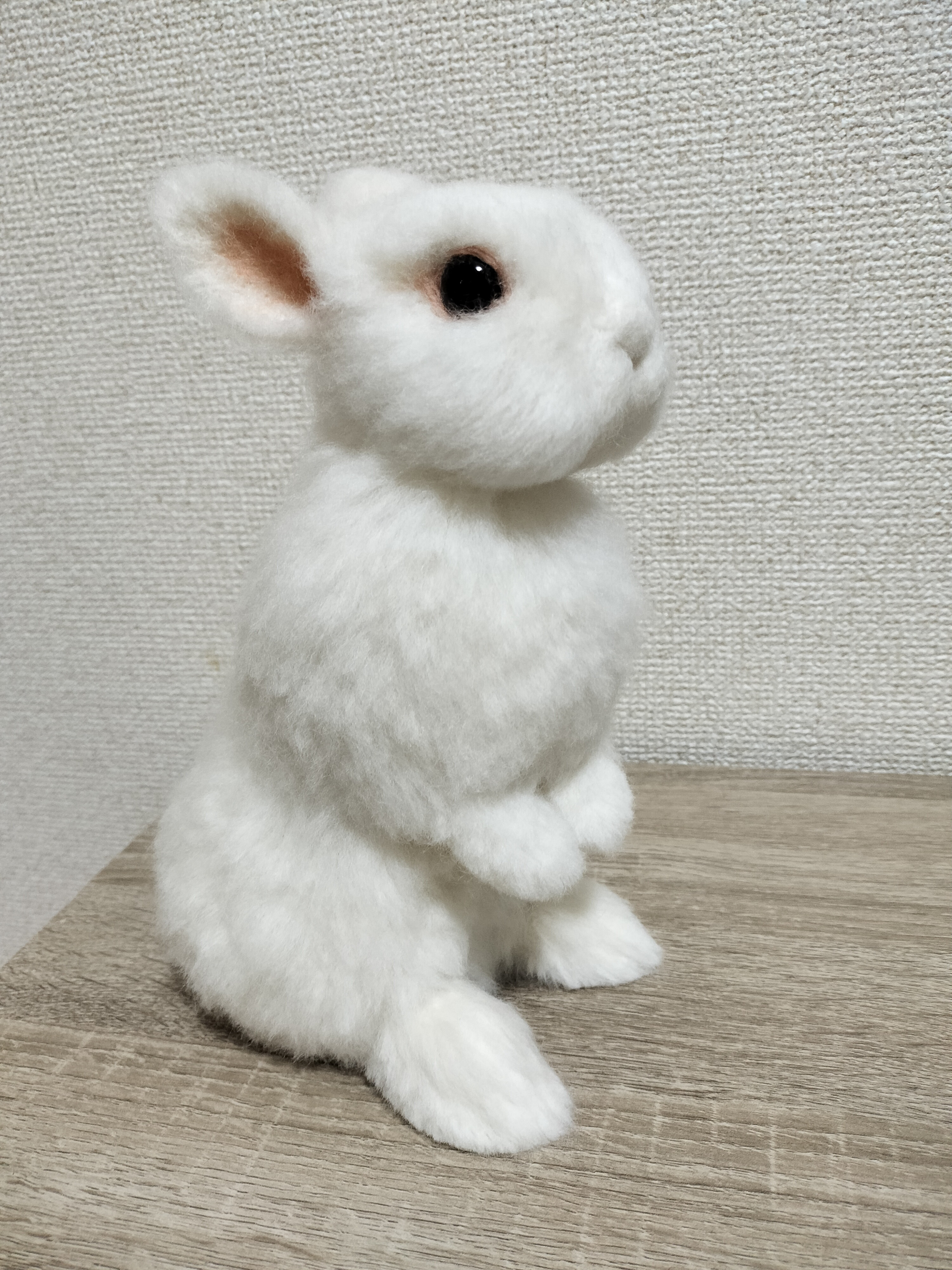 ネザーランドドワーフ（うさぎ）うたっち フロスティ 植毛 羊毛