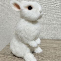 L L Lサイズ 白猫ちゃん 猫 ふわふわ 置物 受注商品 羊毛フェルト 展示