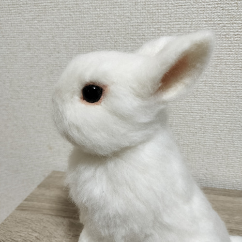 ネザーランドドワーフ（うさぎ）うたっち フロスティ 植毛 羊毛