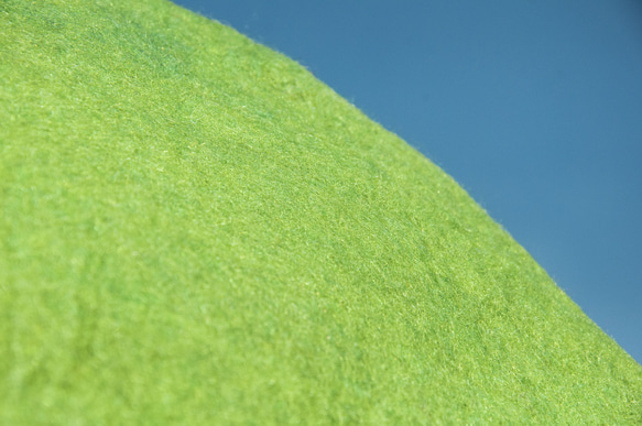 純羊毛氈椅墊 抱枕 羊毛氈坐墊 羊毛氈靠枕-鸚鵡鳥類花朵植物園風 聖誕節禮物交換禮物 母親節禮物 情人節禮物 生日禮物 第13張的照片