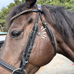 馬 うま Horse 頭絡チャーム　ネームチャーム　馬具 3枚目の画像