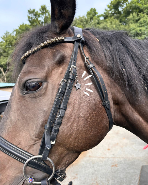 馬 うま Horse 頭絡チャーム　ネームチャーム　馬具 3枚目の画像