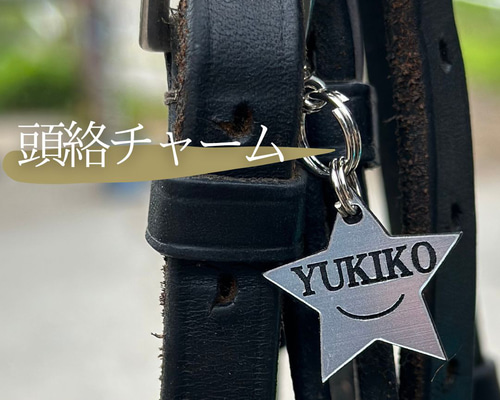 馬 うま Horse 頭絡チャーム ネームチャーム 馬具 表札・ネーム