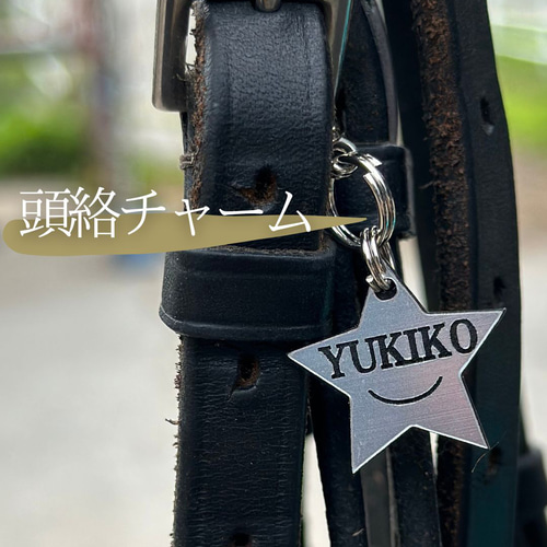 馬 うま Horse 頭絡チャーム ネームチャーム 馬具 表札・ネーム