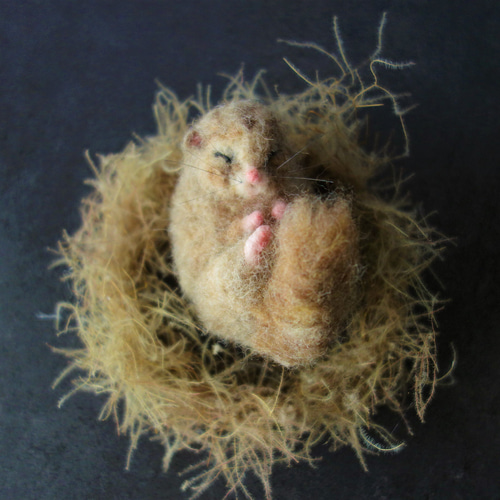 眠りヤマネ（ほぼ本物サイズ） やまね 野生動物 羊毛フェルト ブライス