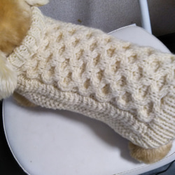 【犬用セーター】Ｍサイズ伝統のハチの巣編み出来ました❢ 3枚目の画像