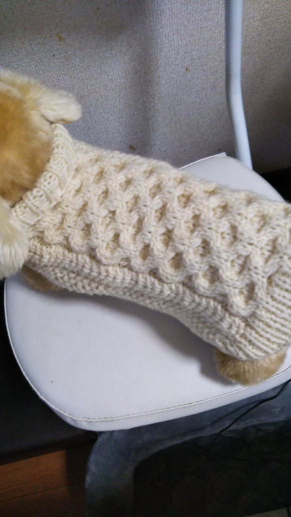 【犬用セーター】Ｍサイズ伝統のハチの巣編み出来ました❢ 3枚目の画像