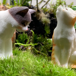 #214 【みや様専用ページ】苔アート　苔テラリウム　猫　ねこ　ネコ　フィギュア付き 7枚目の画像