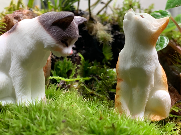 #214 【みや様専用ページ】苔アート　苔テラリウム　猫　ねこ　ネコ　フィギュア付き 7枚目の画像